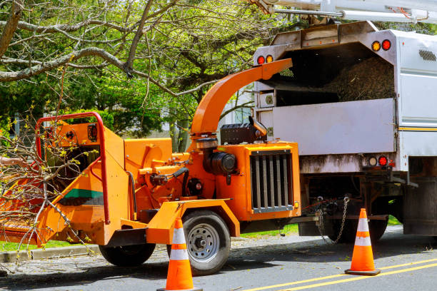 Best Commercial Tree Services  in Wilmerding, PA