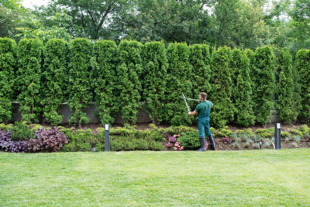 Best Artificial Turf Installation  in Wilmerding, PA